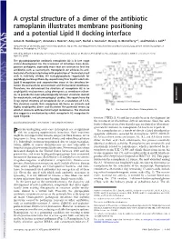A Crystal Structure of a Dimer of the Antibiotic Ramoplanin Illustrates Membrane Positioning and a Potential Lipid II Docking Interface