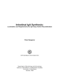 Intestinal Iga Synthesis: Localization and Requirements for Iga Class Switch Recombination