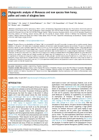 Phylogenetic Analysis of Monascus and New Species from Honey, Pollen and Nests of Stingless Bees