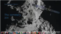 The Cometary Zoo