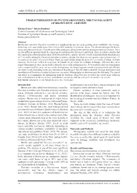Characterization of Puccinia Recondita, the Causal Agent of Brown Rust: a Review