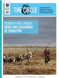 Reindeer and Caribou: Herds and Livelihoods in Transition
