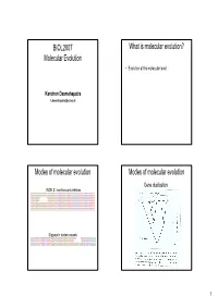Molecular Evolution? Molecular Evolution • Evolution at the Molecular Level
