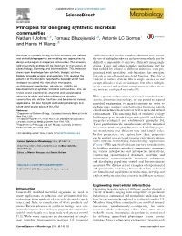 Principles for Designing Synthetic Microbial Communities