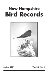 Spring 2001 Vol. 20 No. 1