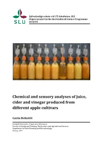 Chemical and Sensory Analyses of Juice, Cider and Vinegar Produced from Different Apple Cultivars