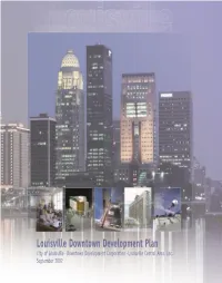 DDP Report REVISED
