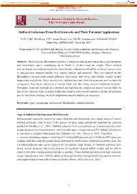Sulfated Galactans from Red Seaweeds and Their Potential Applications