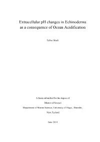 Extracellular Ph Changes in Echinoderms As a Consequence of Ocean Acidification