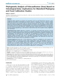 Phylogenetic Analysis of Pelecaniformes (Aves) Based on Osteological Data: Implications for Waterbird Phylogeny and Fossil Calibration Studies