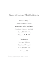 Simulated Evolution of Selfish Herd Behavior