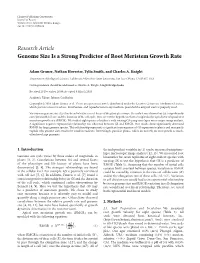 Genome Size Is a Strong Predictor of Root Meristem Growth Rate