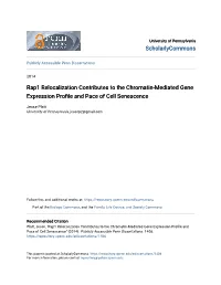 Rap1 Relocalization Contributes to the Chromatin-Mediated Gene Expression Profile and Pace of Cell Senescence" (2014)
