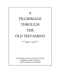 A Pilgrimage Through the Old Testament