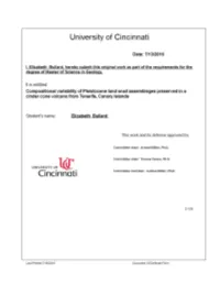 Compositional Variability of Pleistocene Land Snail Assemblages Preserved in a Cinder Cone