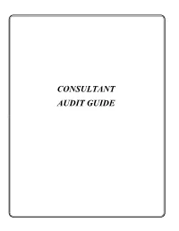 CONSULTANT AUDIT GUIDE 12/01/98 CONSULTANT AUDIT GUIDE TABLE of CONTENTS Preface Page 2