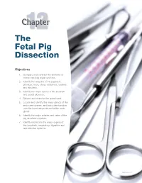 12Chapter the Fetal Pig Dissection