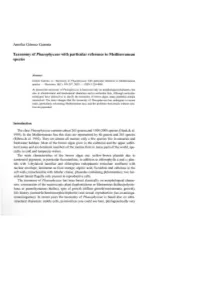 Amelia G6mez Garreta Taxonomy of Phaeophyceae with Particular