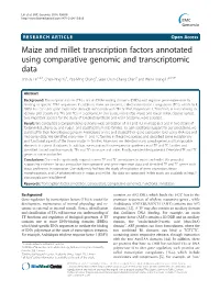 Maize and Millet Transcription Factors Annotated Using Comparative