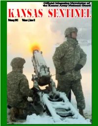 Sentinel Feb 2011.Pdf