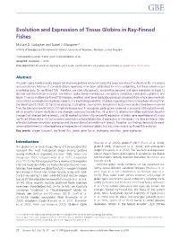 Evolution and Expression of Tissue Globins in Ray-Finned Fishes