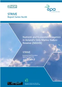 STRIVE Report Series No.66