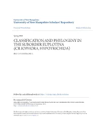 Classification and Phylogeny in the Suborder Euplotina (Ciliophora, Hypotrichida) Bruce Fleming Hill