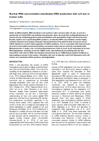 Nuclear RNA Concentration Coordinates RNA Production with Cell Size in Human Cells