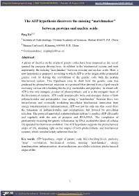 The ATP Hypothesis Discovers the Missing “Matchmaker” Between Proteins and Nucleic Acids