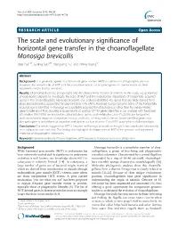 The Scale and Evolutionary Significance of Horizontal Gene