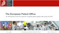 How to Use the EPO Template?