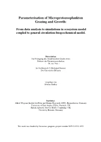 Parameterisation of Microprotozooplankton Grazing and Growth