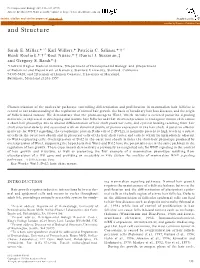 WNT Signaling in the Control of Hair Growth and Structure