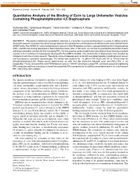 Quantitative Analysis of the Binding of Ezrin to Large Unilamellar Vesicles Containing Phosphatidylinositol 4,5 Bisphosphate