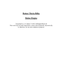 Rainer Maria Rilke Duino Elegies