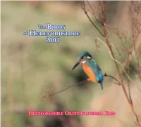 Annual Report 2005