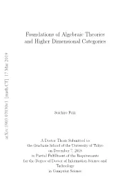 Foundations of Algebraic Theories and Higher Dimensional Categories