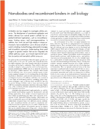 Nanobodies and Recombinant Binders in Cell Biology