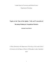 Naples in the Time of the Spider: Talk and Transcultural Meaning-Making