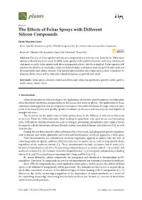 The Effects of Foliar Sprays with Different Silicon Compounds