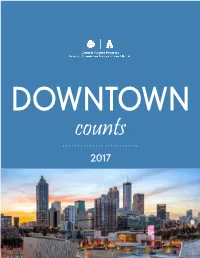 Downtown Counts (2017)