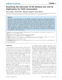 Examining the Extinction of the Barbary Lion and Its Implications for Felid Conservation