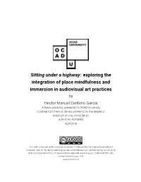 Exploring the Integration of Place Mindfulness and Immersion in Audiovisual Art Practices