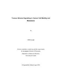 Tumour-Stroma Signalling in Cancer Cell Motility and Metastasis