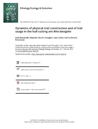 Dynamics of Physical Trail Construction and of Trail Usage in the Leaf-Cutting Ant Atta Laevigata
