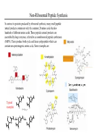 Non-Ribosomal Peptide Synthesis