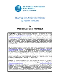 Study of the Dynamic Behavior of Pelton Turbines