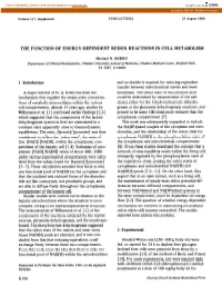 The Function of Energy-Dependent Redox Reactions in Cell Metabolism