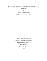 FILE STRUCTURE ANALYSIS of MEDIA FILES SENT and RECEIVED OVER WHATSAPP by HENRY LUKEN RISEMBERG B.F.A., University of Cincinnati
