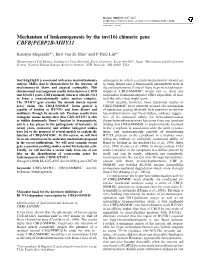 Mechanism of Leukemogenesis by the Inv(16) Chimeric Gene CBFB/PEBP2B-MHY11